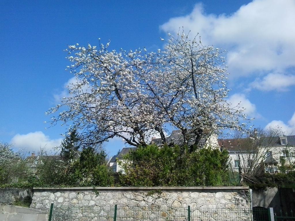 Les Chambres Du Faubourg Montrichard Exterior foto